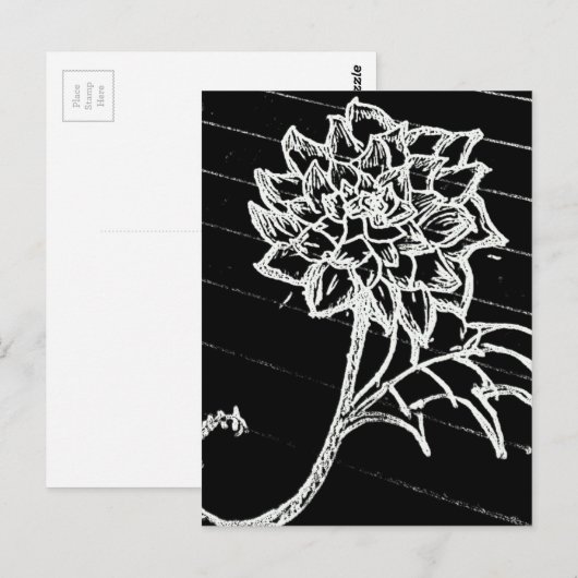 バラ黒 ポストカード (正面/裏面)