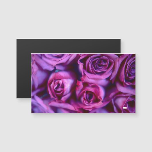 バラ (正面/裏面)