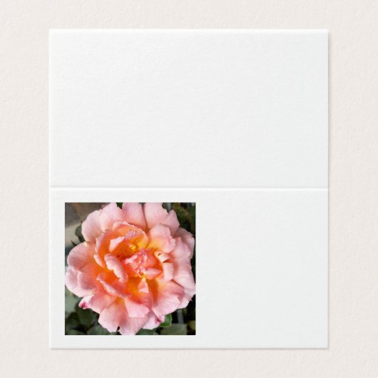 バラ (外部フラット)