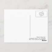 バラ12月はがき ポストカード (裏面)