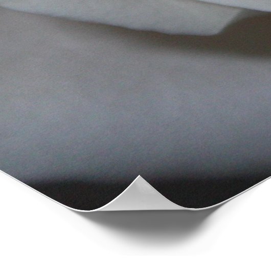 バラ13 ポスター (角)