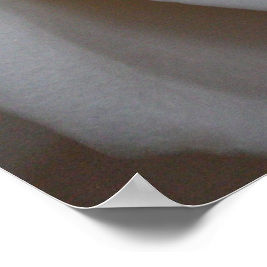 バラ16 ポスター (角)