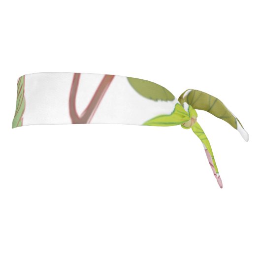 バラ17 タイヘッドバンド (回転90)