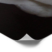 バラ1 ポスター (角)