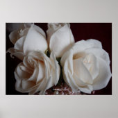 バラ1 ポスター (正面)