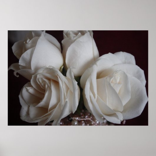 バラ1 ポスター (正面)