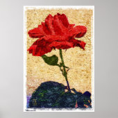 バラ1 ポスター (正面)
