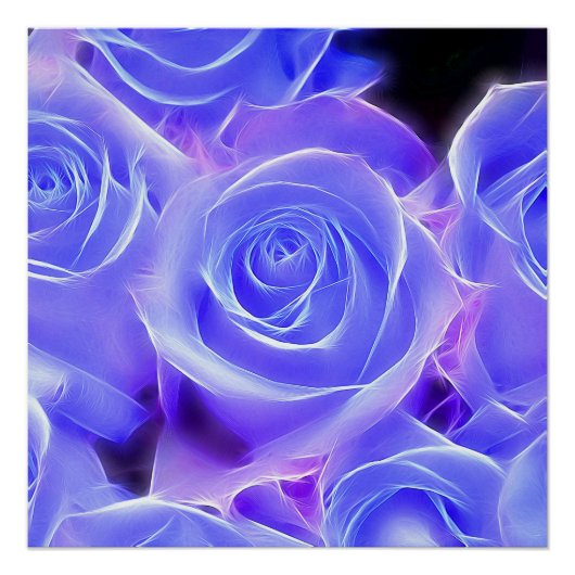 バラ2014-0927 ポスター (正面)