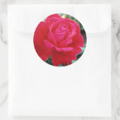 バラ258 ラウンドシール (バッグ)