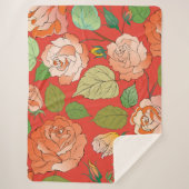 バラ26 シェルパブランケット (正面)