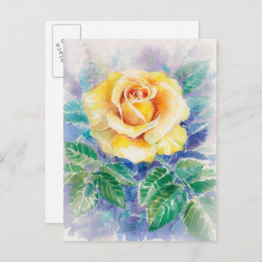 バラ2 ポストカード (正面/裏面)