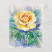 バラ2 ポストカード (正面)