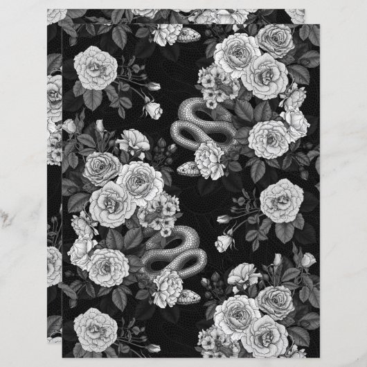 バラ3で非表示 (正面/裏面)