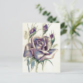 バラ3 ポストカード (スタンド正面)