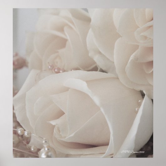 バラ9 ポスター (正面)