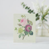 バラ、アネモン、クレマチド ポストカード (スタンド正面)