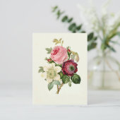 バラ・アネモン・クレマティス・バイ・ピエール・ジョセフ・レッドテ ポストカード (スタンド正面)