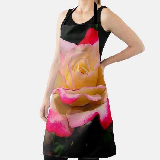 バラ エプロン (インサイチュ)