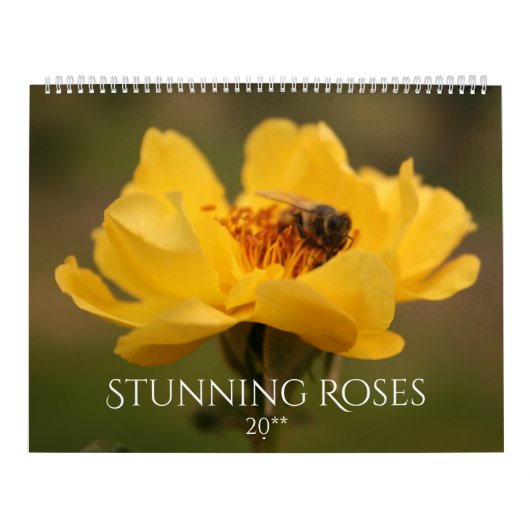 バラ カレンダー (カバー)