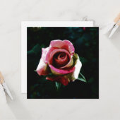 バラ カード (正面/裏面インサイチュ)