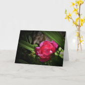 バラ、カード カード (黄色い花)