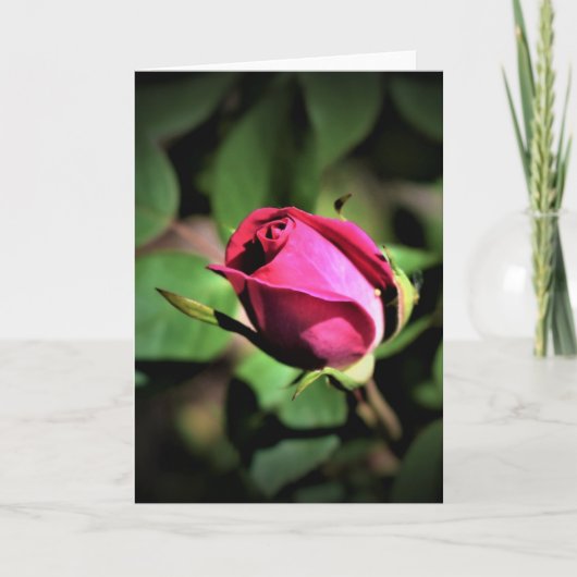 バラ、カード カード (正面)