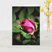 バラ、カード カード (黄色い花)