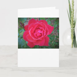 バラ、カード カード