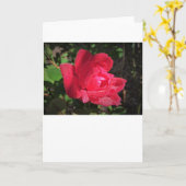 バラ、カード カード (黄色い花)