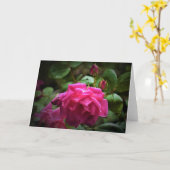 バラ、カード カード (黄色い花)