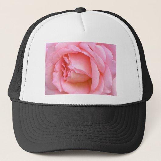 バラ キャップ (正面)