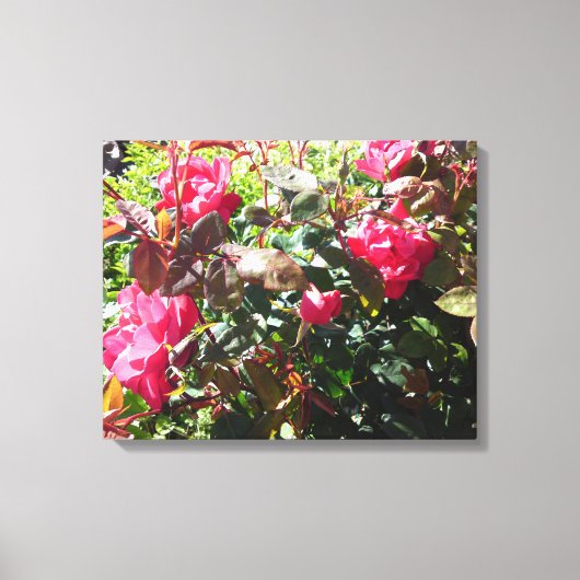 バラ キャンバスプリント (正面)