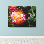 バラ キャンバスプリント (インサイチュ (ウッドフロア))