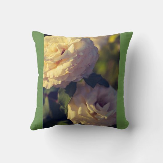 バラ クッション (裏面)