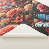 バラ シェルパブランケット (3/4)