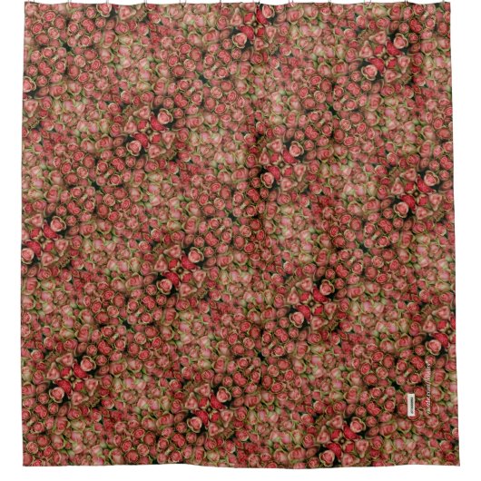 バラ シャワーカーテン (正面)