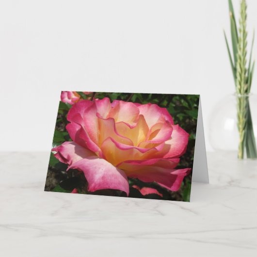 バラ シーズンカード (正面)