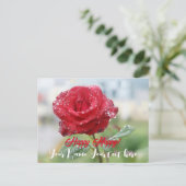 バラ シーズンポストカード (スタンド正面)