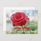 バラ シーズンポストカード (正面/裏面)