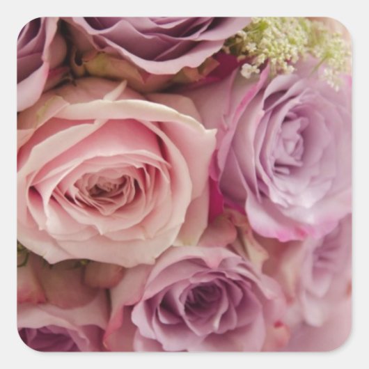 バラ スクエアシール (正面)