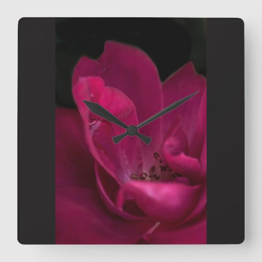 バラ スクエア壁時計 (正面)