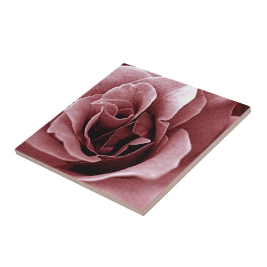 バラ タイル (側面)