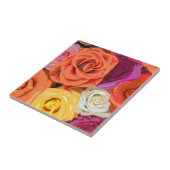 バラ タイル (側面)