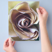 バラ チラシ (手)