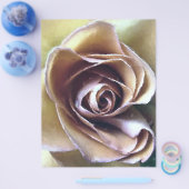 バラ チラシ (シングル)