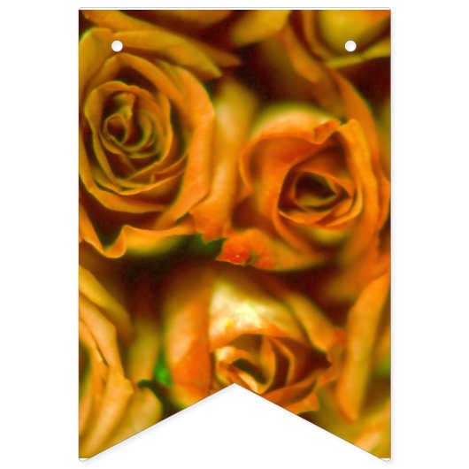 バラ バンティングフラッグ (第2の旗)