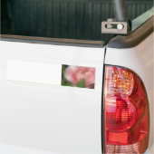 バラ バンパーステッカー (トラック上)