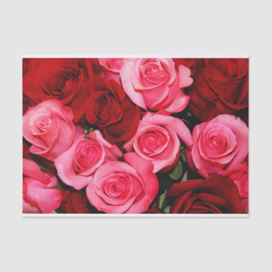 バラ、ピンクおよび赤組織ラッピング紙 薄葉紙 (正面)