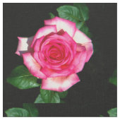 バラ ファブリック (クローズアップ)