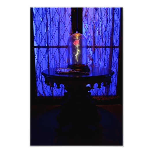 バラ フォトプリント            (正面)